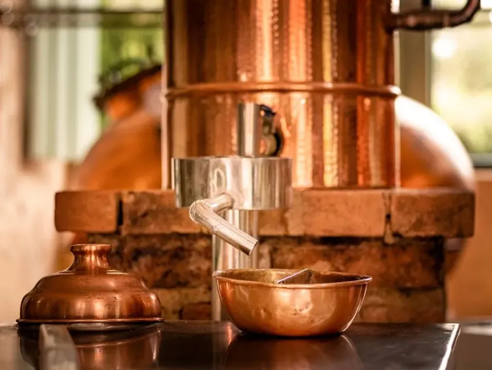 Distillerie Saint-Maurice à Saint-Laurent-du-Maroni : la visite