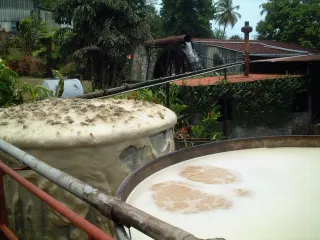 Rhum agricole de Guadeloupe : 7 distilleries à visiter en 2026