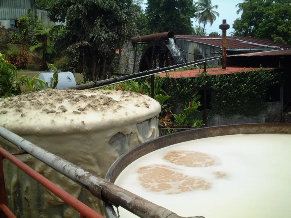 Rhum agricole de Guadeloupe : 7 distilleries à visiter en 2026