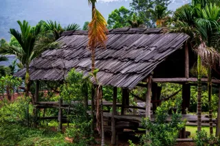Carbet in French Guiana: Sleeping in a Hammock, What You Need to Know