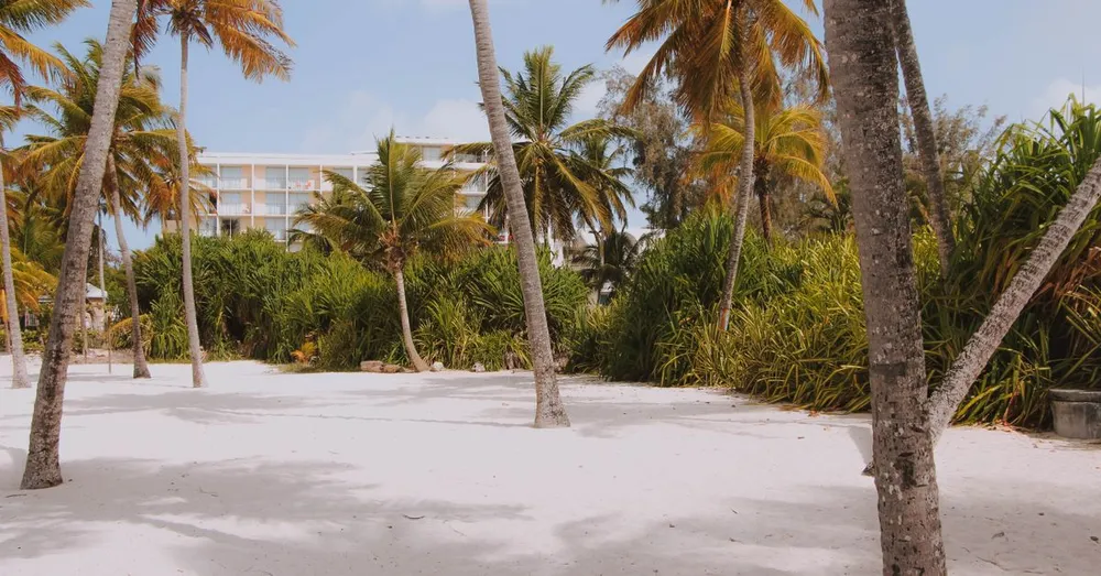 Dormir em Montabo (Cayenne): praia, hotéis e apartamentos