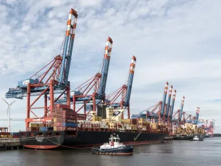 La douane en Guyane : quatre bureaux et le port de Dégrad-des-Cannes