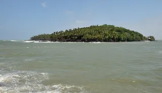Excursion aux Îles du Salut depuis Kourou : guide pratique et réservation