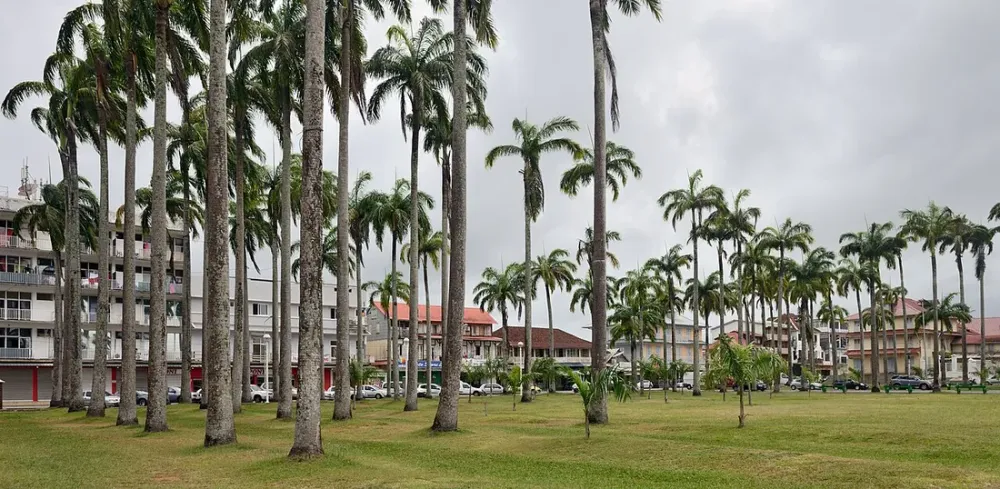 Fête de la musique à Cayenne : guide des scènes du 21 juin et des concerts d'été