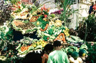 Fruits de Martinique : le guide des fruits tropicaux par saison