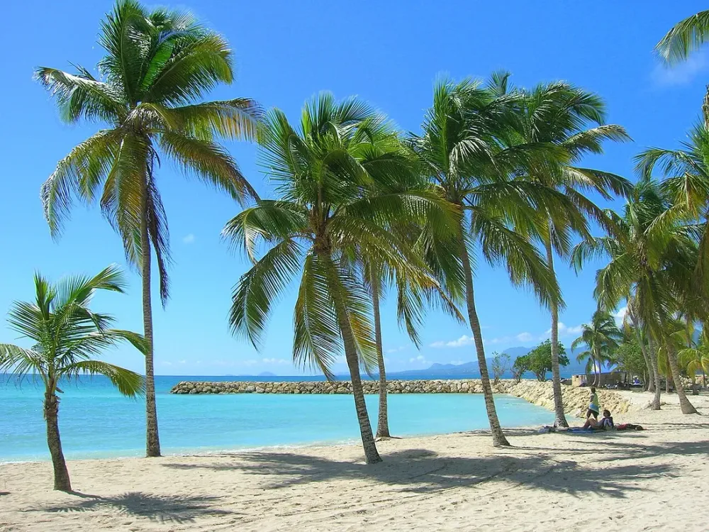 Gestion locative à distance : louer en Guadeloupe depuis la métropole