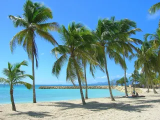 Gestion locative à distance : louer en Guadeloupe depuis la métropole