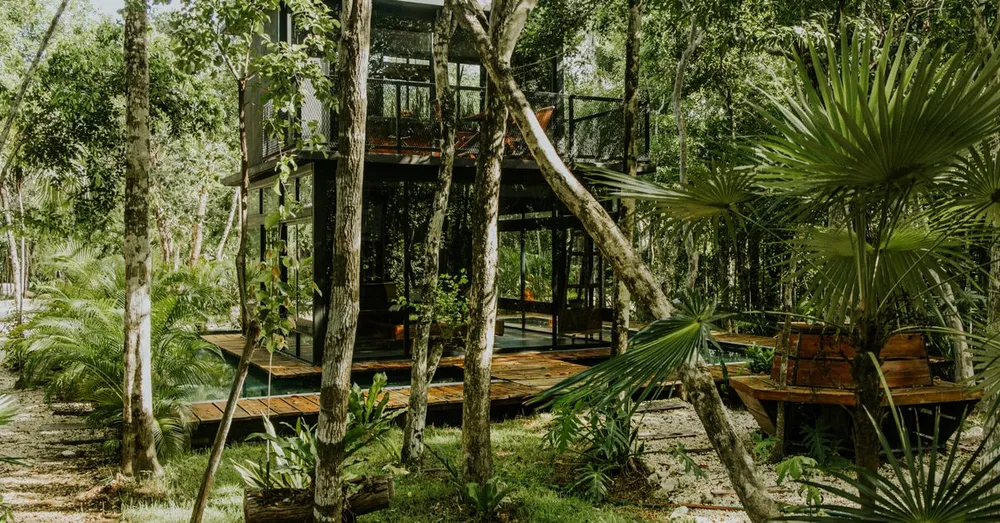 Remote rental management in French Guiana: entrusting your rental from mainland France