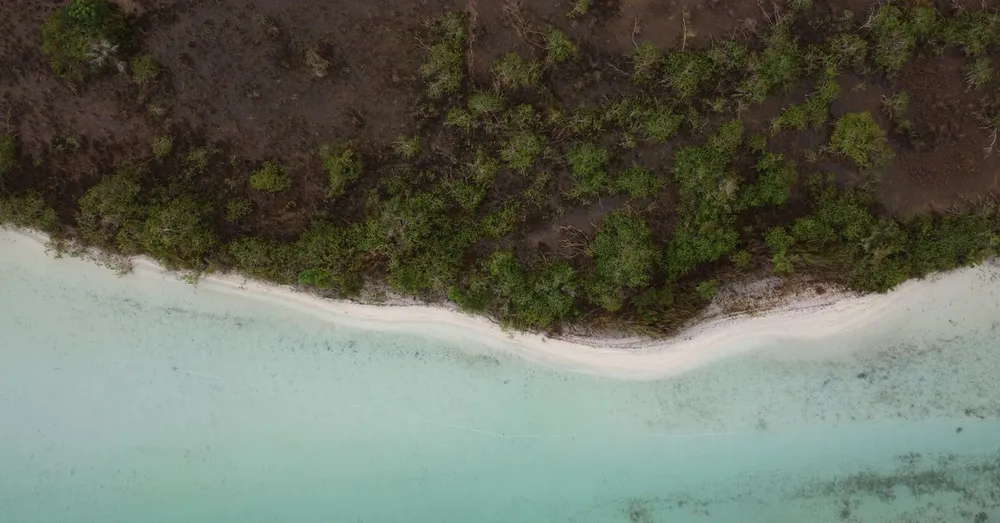 Grand Macabou em Le Vauclin: a praia selvagem e a sua lagoa protegida