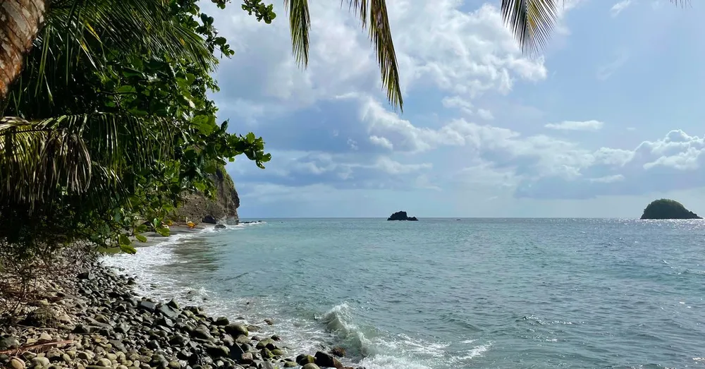 Grand-Rivière: o fim da ilha, praia de seixos negros e trilha até Le Prêcheur