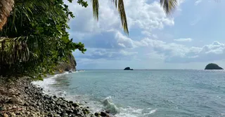 Grand-Rivière: o fim da ilha, praia de seixos negros e trilha até Le Prêcheur