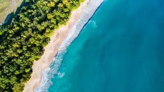 Grande Anse des Salines : guide complet de la plage iconique de Sainte-Anne