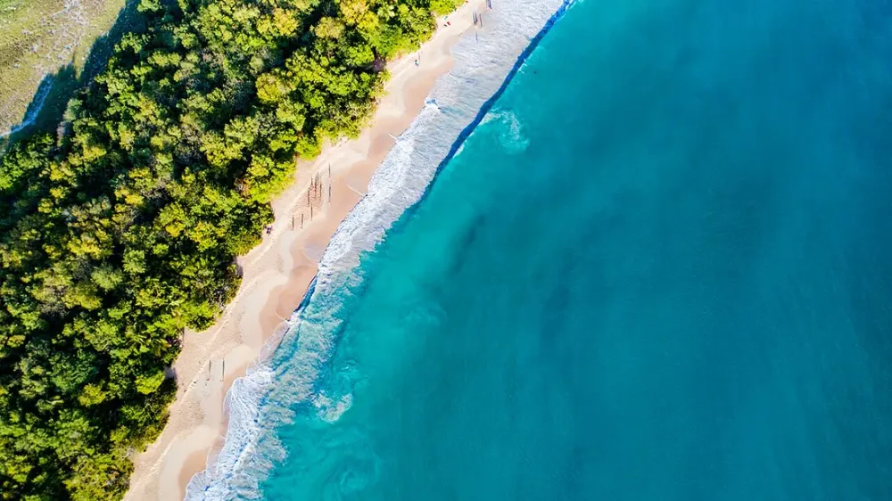 Grande Anse des Salines : guide complet de la plage iconique de Sainte-Anne
