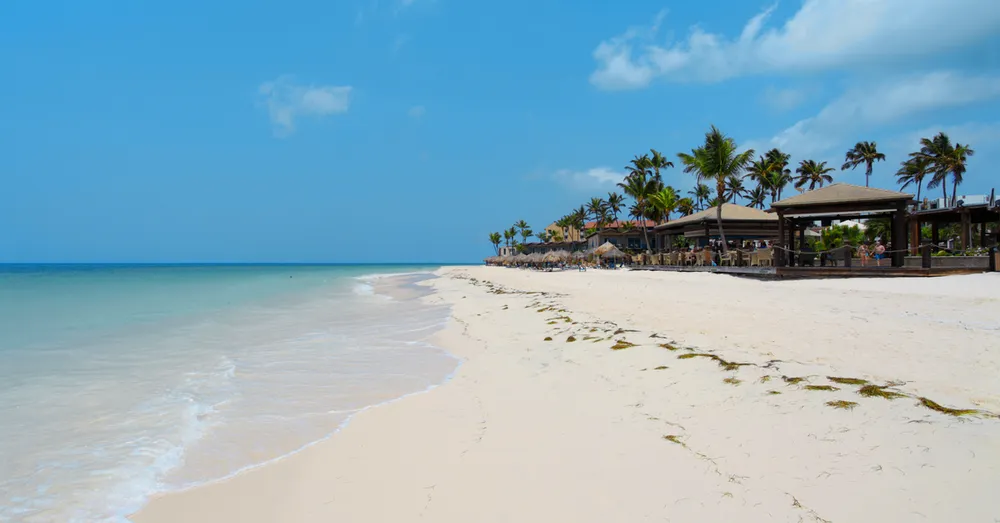 盐湾大滩（Grande Anse des Salines）：圣安娜标志性海滩完整指南