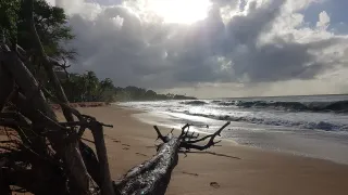 Plage de Grande-Anse à Deshaies : marée, courant, parking et coins d'ombre par nos hôtes