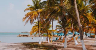 Guía de viaje a Guadalupe 2026: islas, playas y consejos prácticos