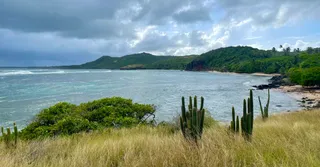 Martinique Travel Guide 2026: Beaches, Hikes and Where to Stay
