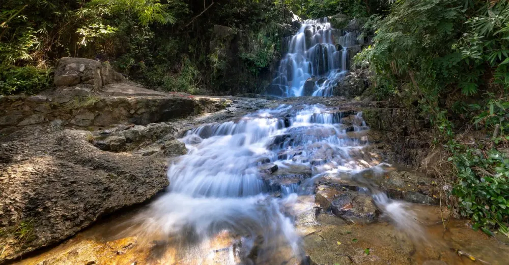 Guayana Francesa en 3 dias desde las Antillas: la escapada exprés que rompe con la laguna