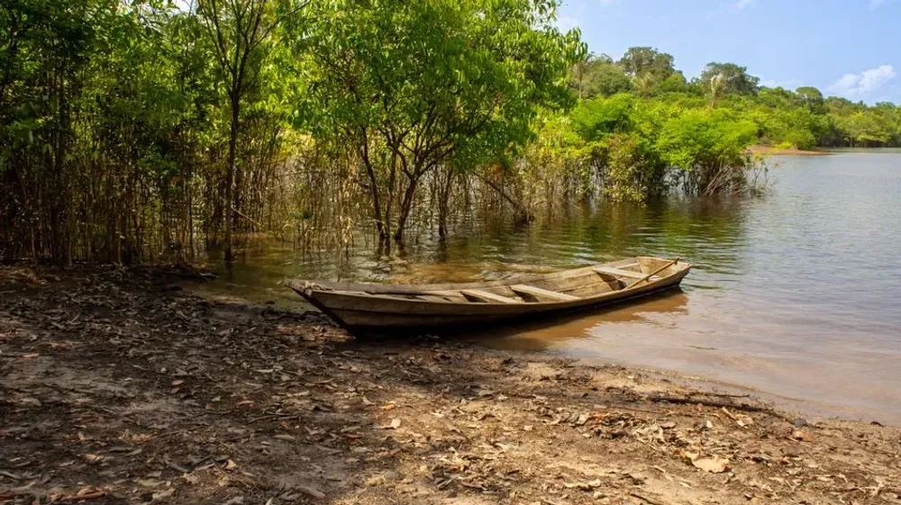 Guyane en famille : santé, rythme, distances et activités testées avec des enfants