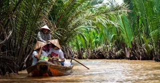 French Guiana with Kids: Health, Pace, Distances and Family-Tested Activities