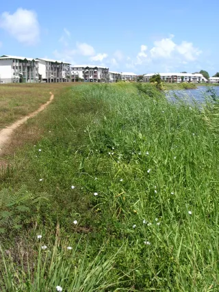 Habiter à Kourou : logement quand on travaille au spatial