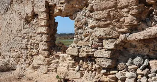 The History of Sugar in Guadeloupe: Plantations and Colonial Heritage