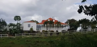 Histoire du sucre en Guadeloupe : habitations et héritage colonial