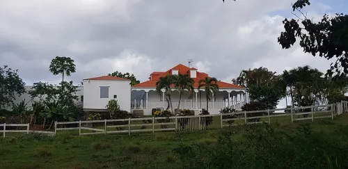 Histoire du sucre en Guadeloupe : habitations et héritage colonial