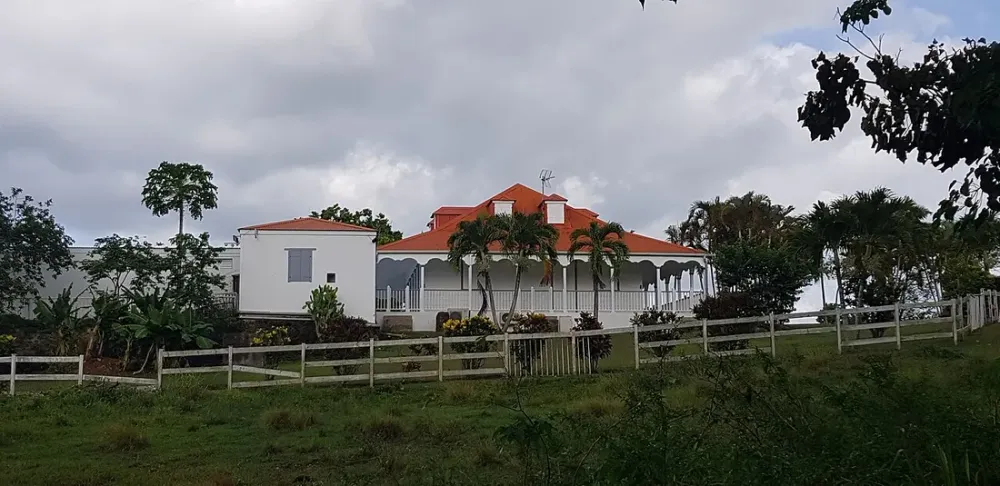 Histoire du sucre en Guadeloupe : habitations et héritage colonial