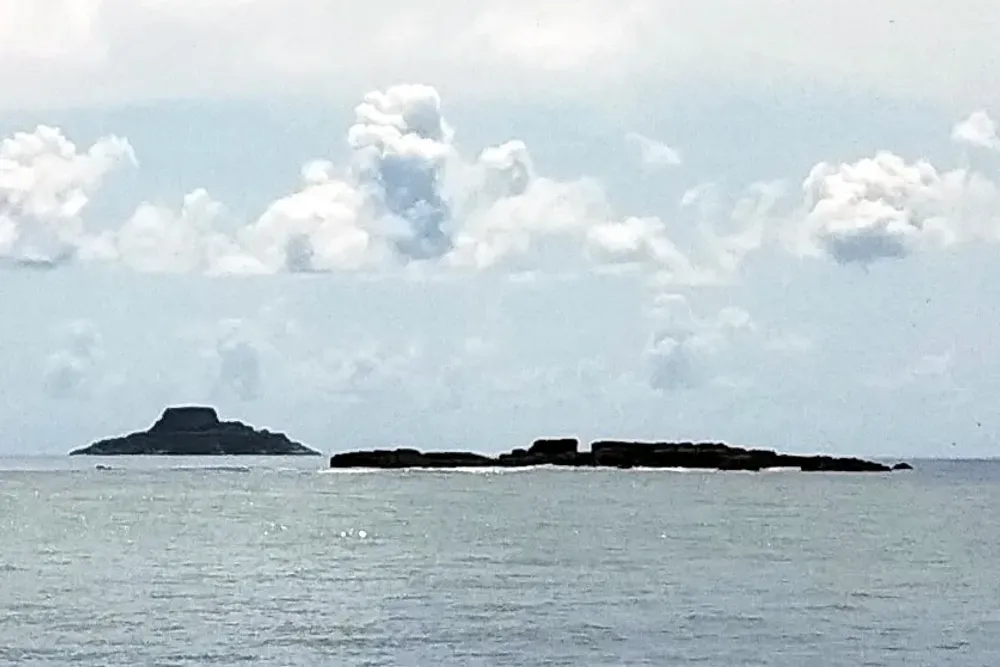 Île du Grand Connétable : l'unique réserve marine de Guyane et sa colonie de frégates