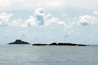 Île du Grand Connétable : l'unique réserve marine de Guyane et sa colonie de frégates