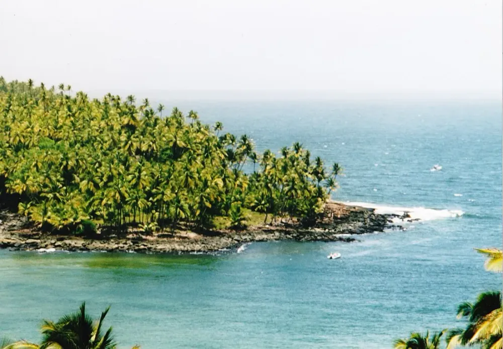 Îles du Salut depuis Kourou : guide complet de l'excursion (Royale, Saint-Joseph, du Diable)