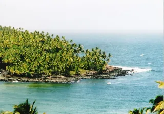 Îles du Salut depuis Kourou : guide complet de l'excursion (Royale, Saint-Joseph, du Diable)