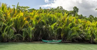 The Salvation Islands in French Guiana: visit, crossing and prices (2026)