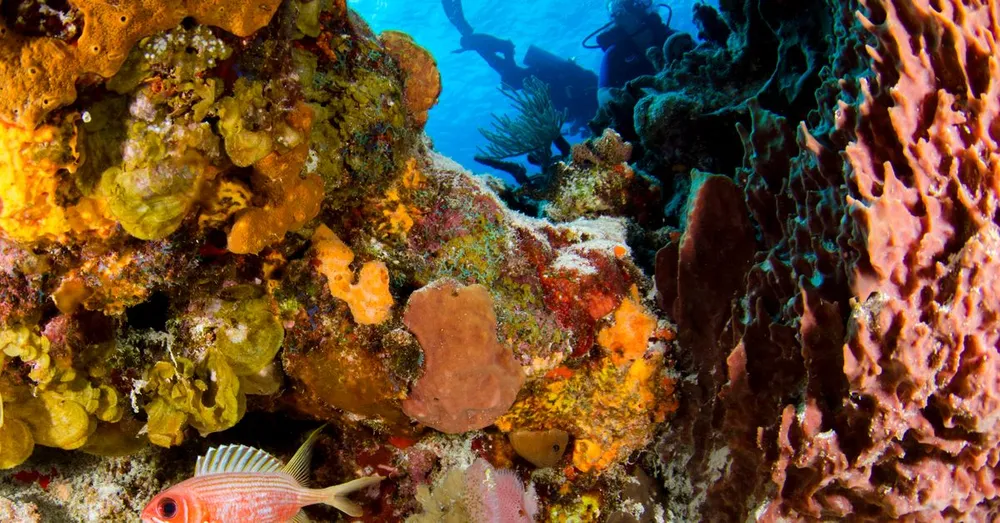 Invertir en Bouillante: termalismo y buceo como motores del alquiler