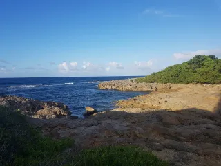 Investir au Moule : la côte atlantique guadeloupéenne sous-cotée