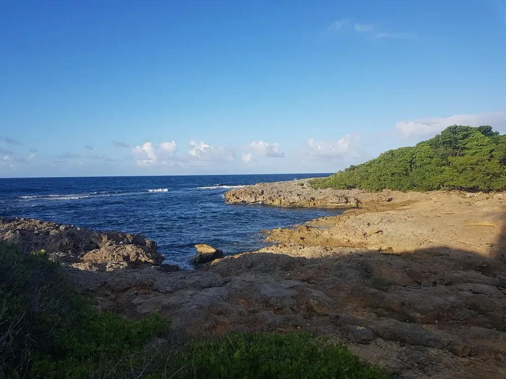 Investir au Moule : la côte atlantique guadeloupéenne sous-cotée