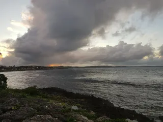 Investir dans le locatif à Cayenne : la rentabilité quartier par quartier