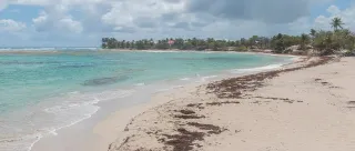 Investir dans un meublé de tourisme à Saint-François : guide propriétaire