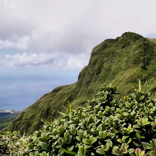 Itinéraire 2 semaines en Martinique : voir le Nord ET le Sud