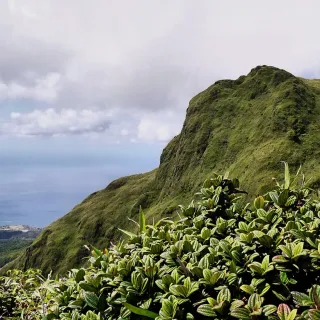 Itinéraire 2 semaines en Martinique : voir le Nord ET le Sud