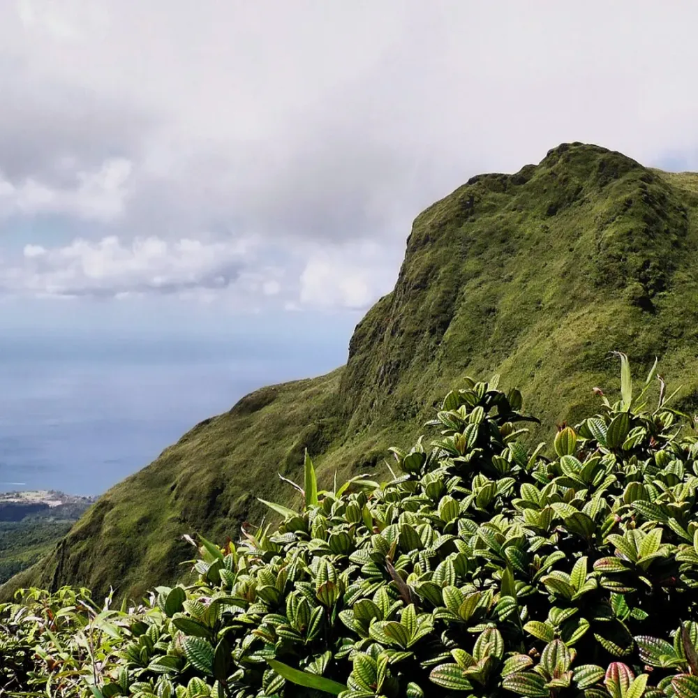 Itinéraire 2 semaines en Martinique : voir le Nord ET le Sud