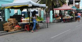 Semana gourmet em Guadalupe: roteiro gastronómico de 7 dias