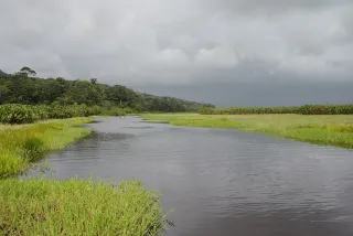 Itinéraire 15 jours en Guyane : du littoral aux savanes de Kaw jusqu'au fleuve Maroni