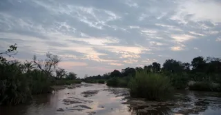 Itinerario de 15 días en Guayana Francesa: de la costa a los pantanos de Kaw y el río Maroni