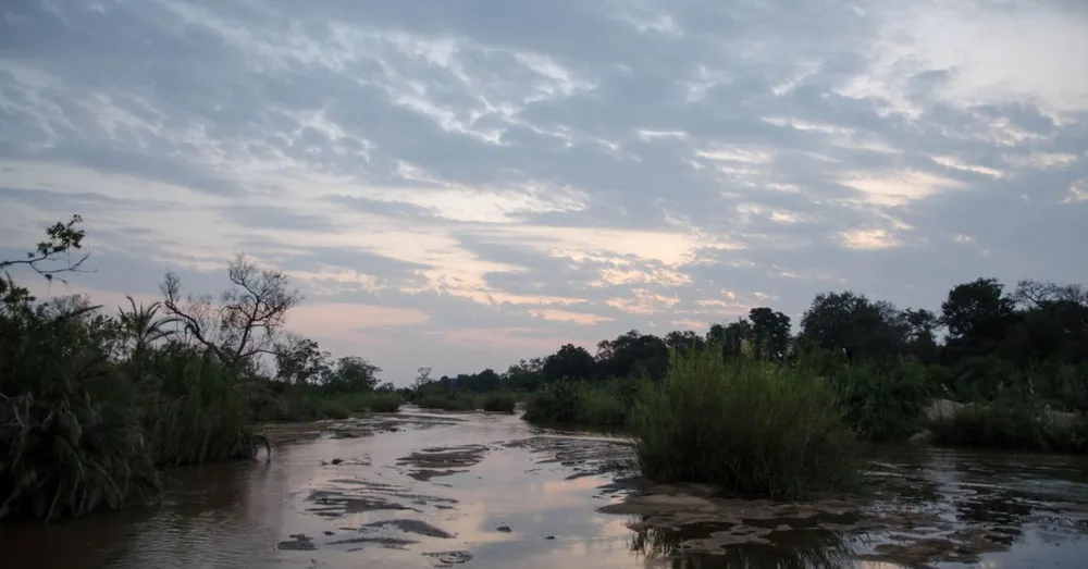 Itinerario de 15 días en Guayana Francesa: de la costa a los pantanos de Kaw y el río Maroni