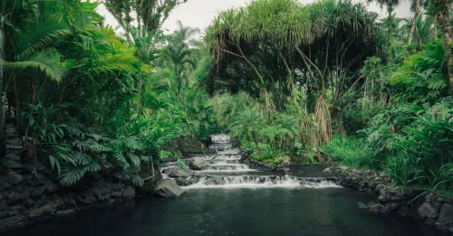 Itinéraire Guyane 7 jours : Cayenne, Kourou, Îles du Salut et Maroni
