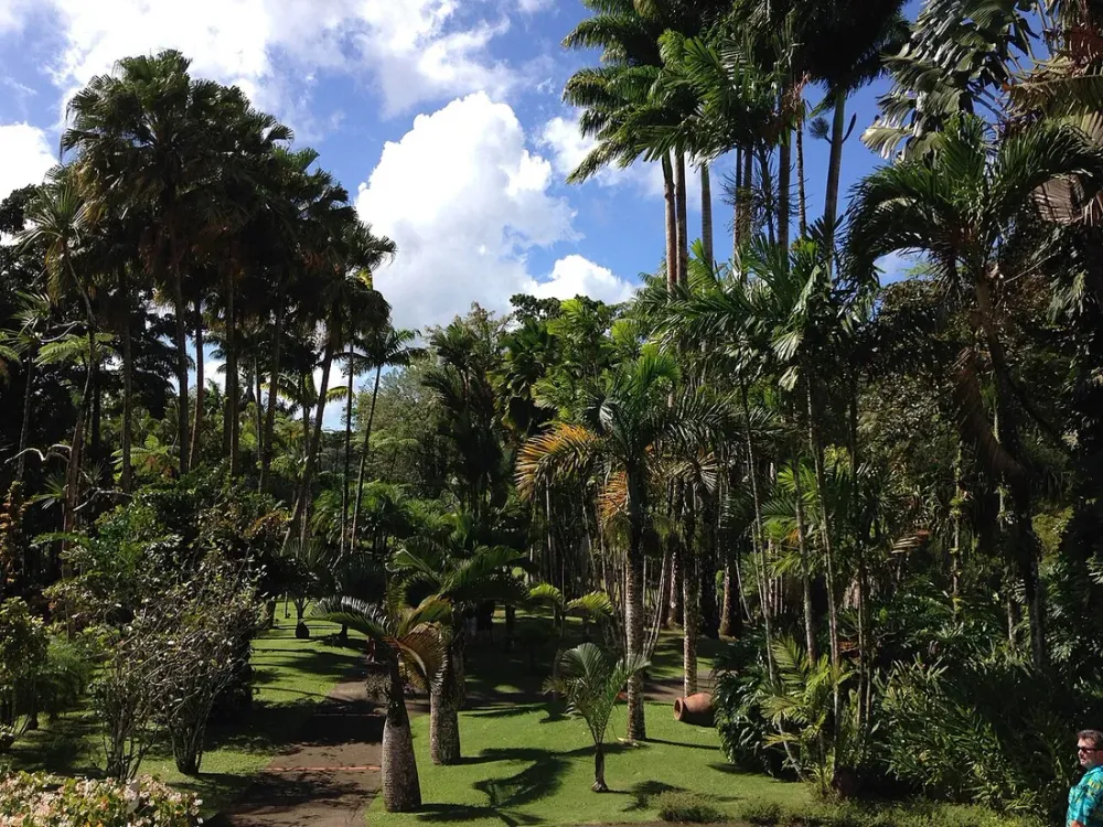 Jardin de Balata : avis terrain, tarifs 2026, horaires et alternatives