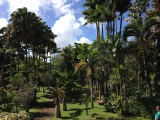 Jardin de Balata : avis terrain, tarifs 2026, horaires et alternatives