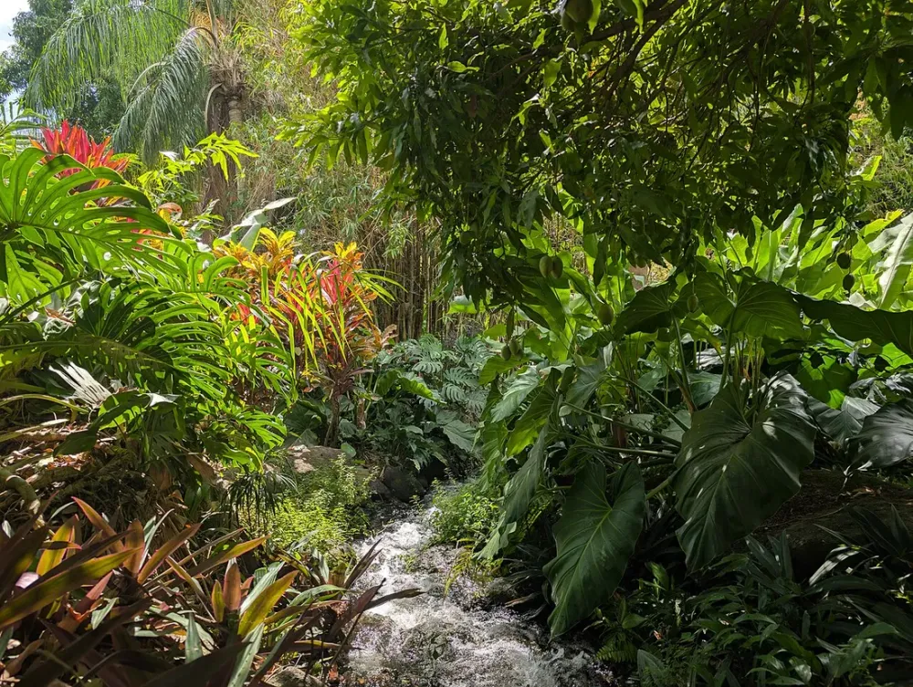 Le Jardin de Balata en Martinique : tarifs, horaires et visite (2026)